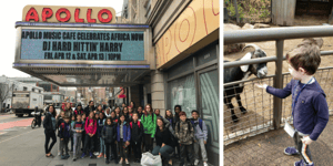 Benefits of field trips and exploring the world outside